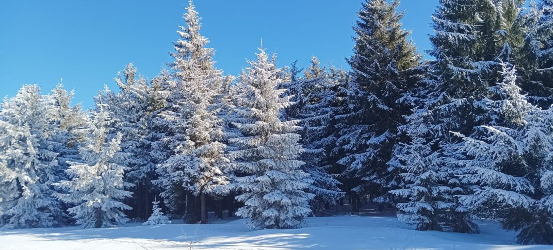 Farní zprávy leden 2026