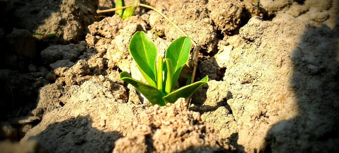 Farní zprávy únor 2026